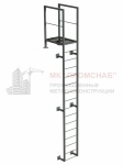 Стремянка П-1.1 (Ст3)4500/1000/700/каркас 50х50х5,0/ступень кр.18/ПВЛ306